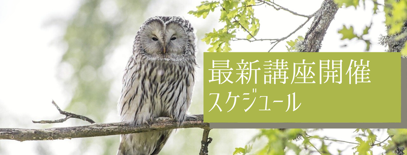 「最新」１１月〜講座開催スケジュール