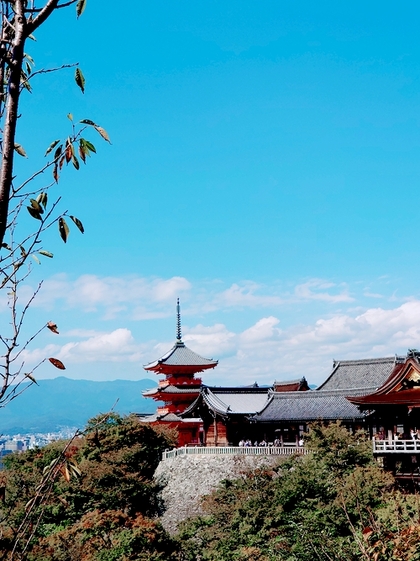 京都 都