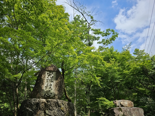 椿大神社