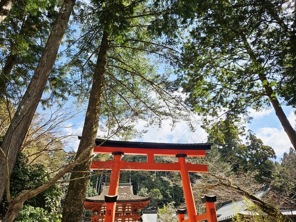 丹生都比売神社　かつらぎ　高野山