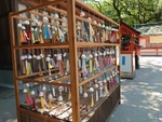 夏休みの宿題かもね