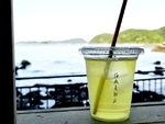《タイミング》自分の歩幅で進んでいこう